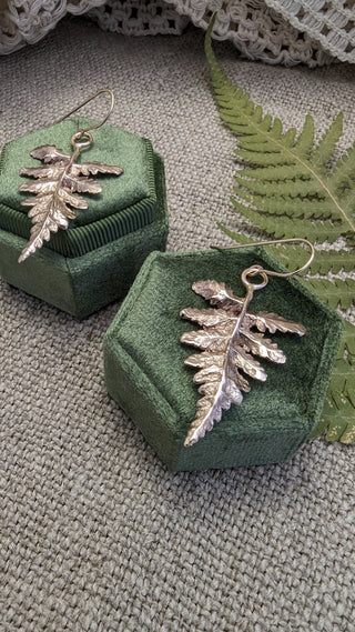 Fern Leaves earrings in bronze