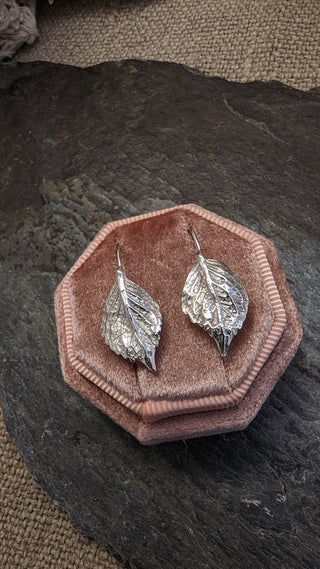 Silver leaves - Hydrangeas