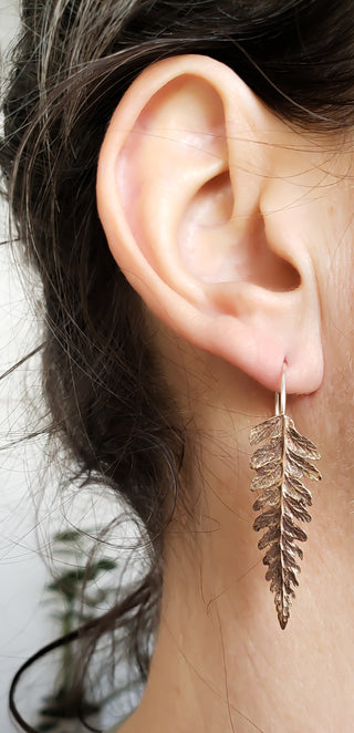 Boucles d'oreilles feuilles de fougère en bronze