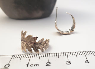 Fern leaf hoop earrings in bronze