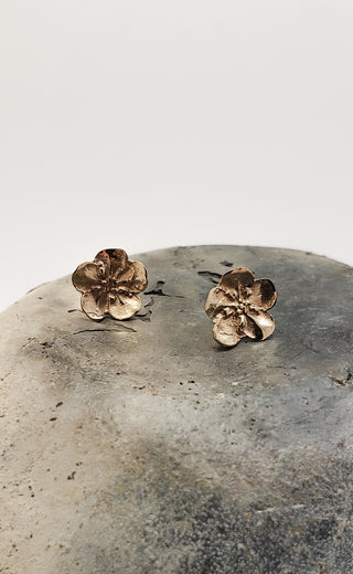Bronze Forget-Me-Not Flower Earrings