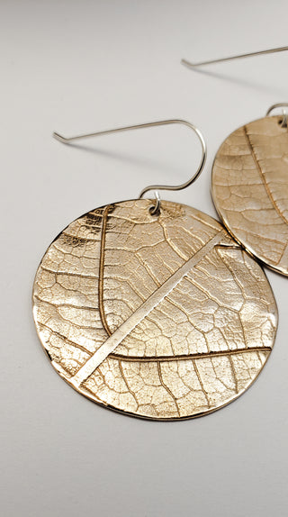 Botanical earrings in bronze
