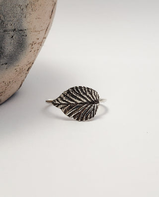 Elm leaf ring in oxidized silver
