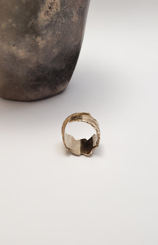 Fern Leaf Ring in Bronze