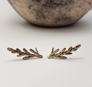 Boucles d'oreilles Genévrier en bronze