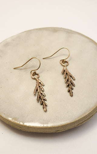 Juniper earrings in bronze and 14k Gold Filled gold