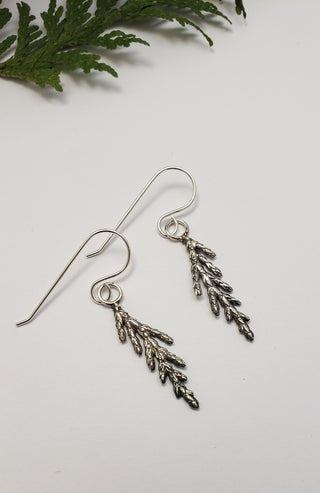Juniper earrings in oxidized silver